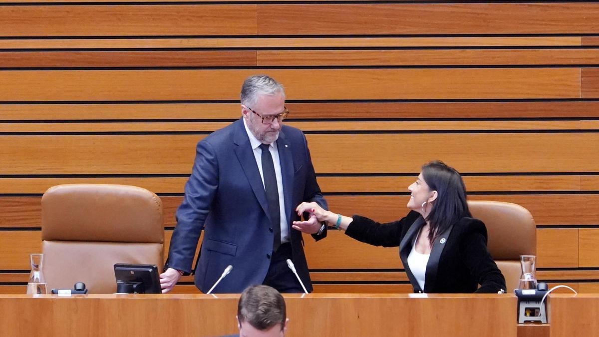 El presidente de las Cortes, Carlos Pollán, junto a la zamorana Ana Sánchez, en la sesión de hoy.