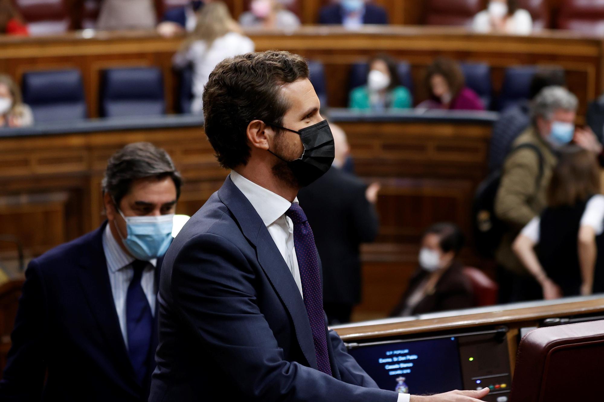 El presidente del PP, Pablo Casado, a su llegada a la sesión de control al Gobierno.