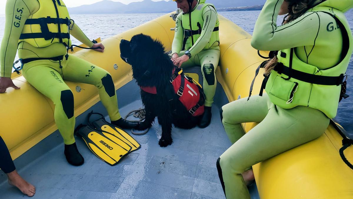 'Urko', el perro rescatador acuático de Emerlan.