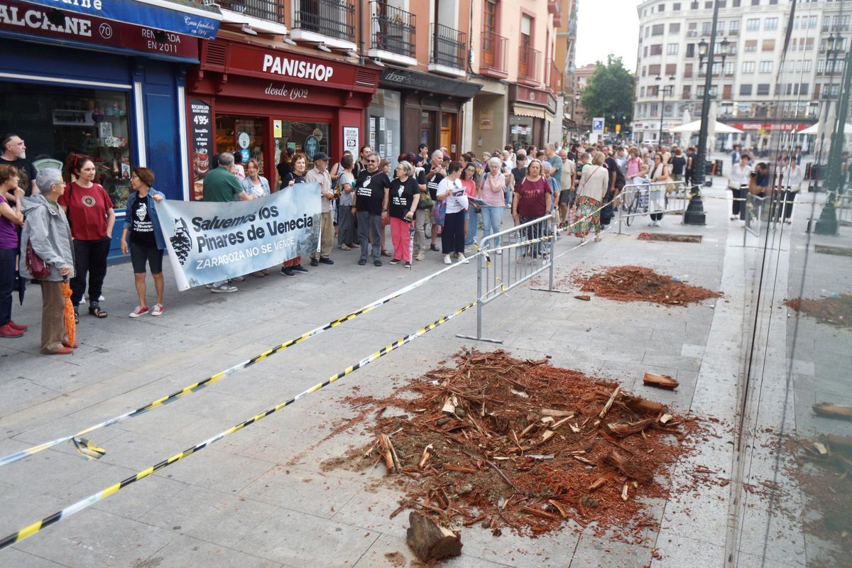 Protesta vecinal frente a los árboles talados en César Augusto, el pasado sábado.