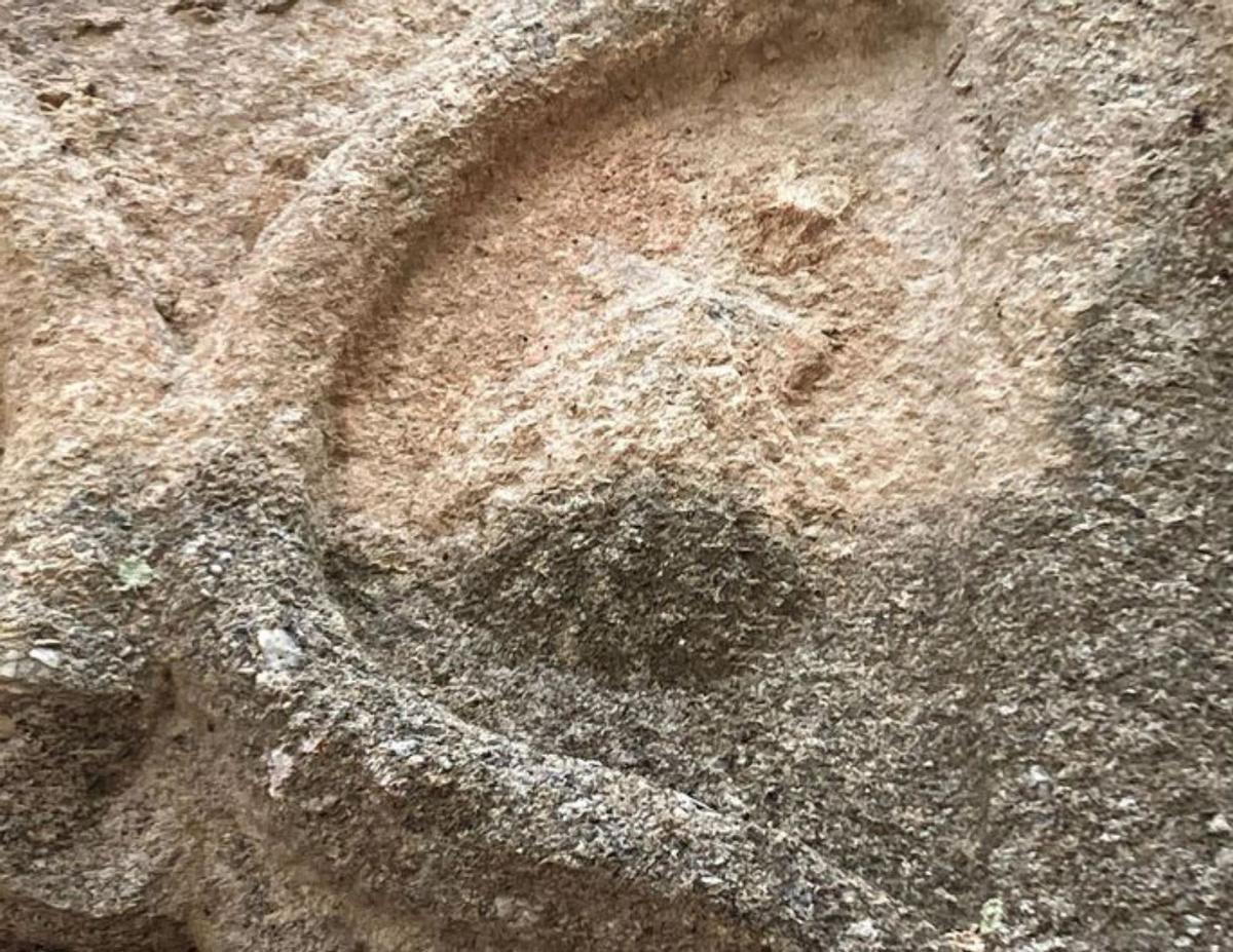 Una de las figuras que se observan en las piedras tiene forma de concha de vieira. | FdV
