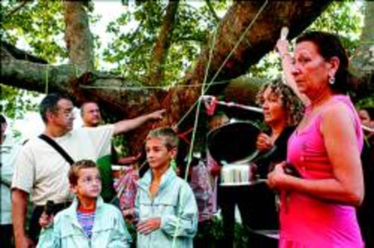 Un grup de veïns fan guàrdia per evitar la tala de l’arbre, dimecres passat. Un grup de veïns fan guàrdia per evitar la tala de l’arbre, dimecres passat.