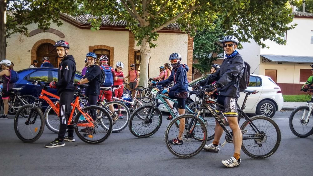 Marcha ciclista por la vía verde Alcoy-Gandia