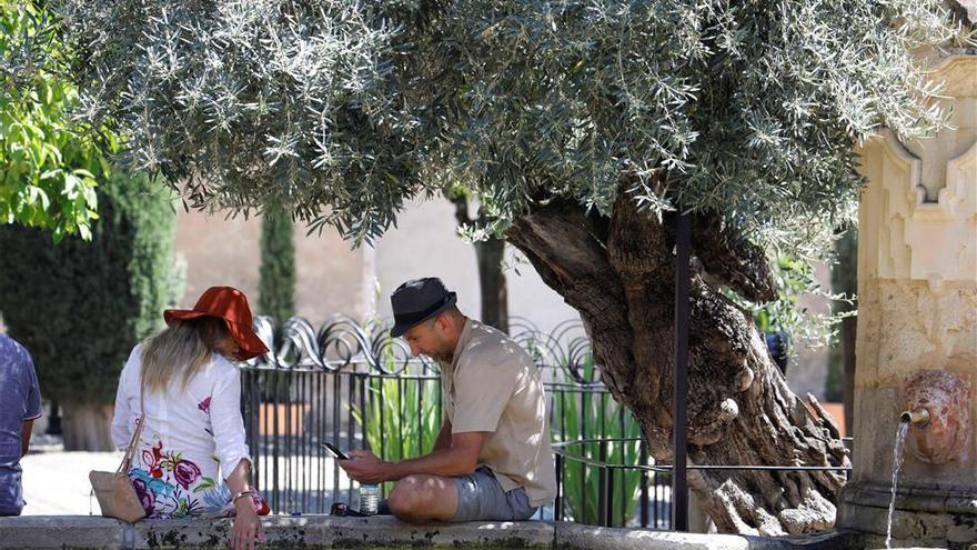 El tiempo en Córdoba: las máximas bajarán nueve grados en los próximos cinco días