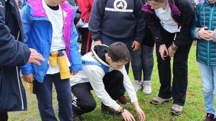 Plantean crear una red de centros educativos de la Reserva del Eo con proyectos comunes