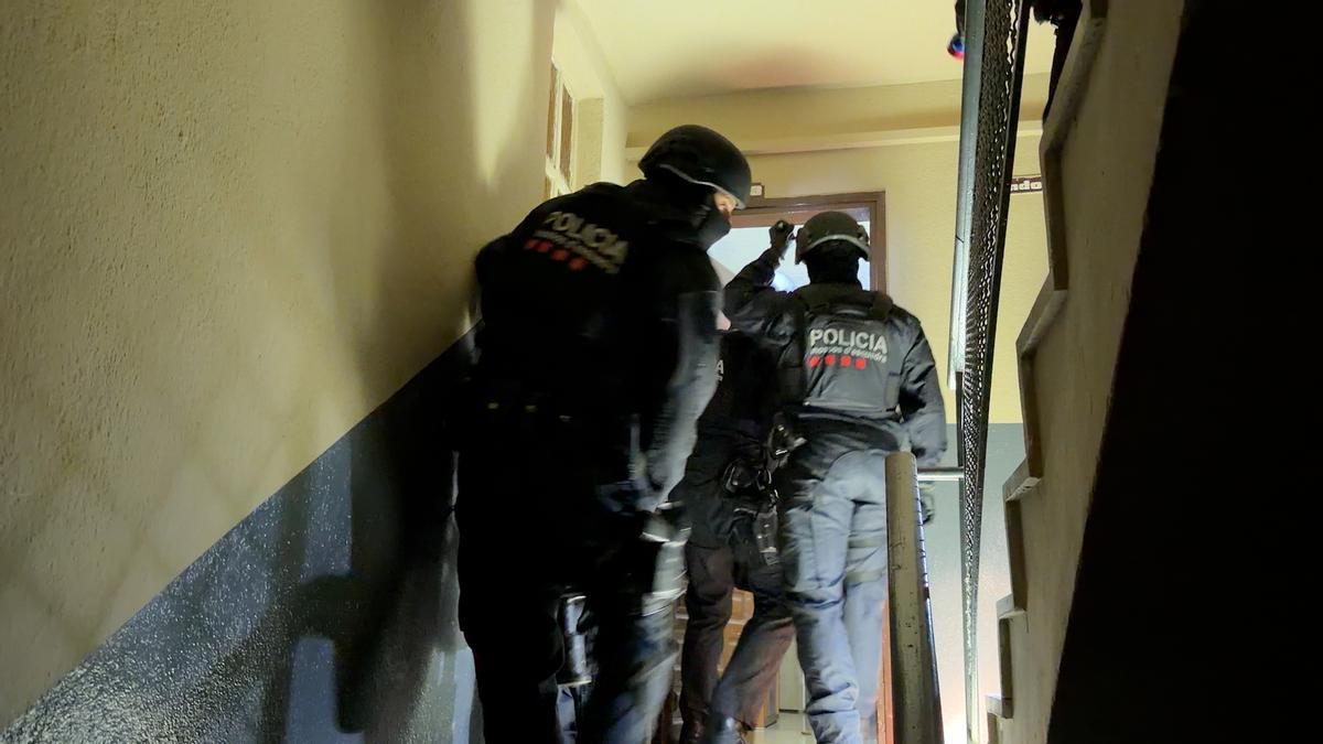 Les imatges del dispositiu policial contra una organització criminal especialitzada en el cultiu de marihuana i el blanqueig de capitals