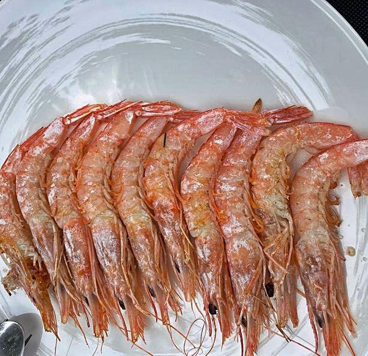 La gran familia de la gamba permanece unida