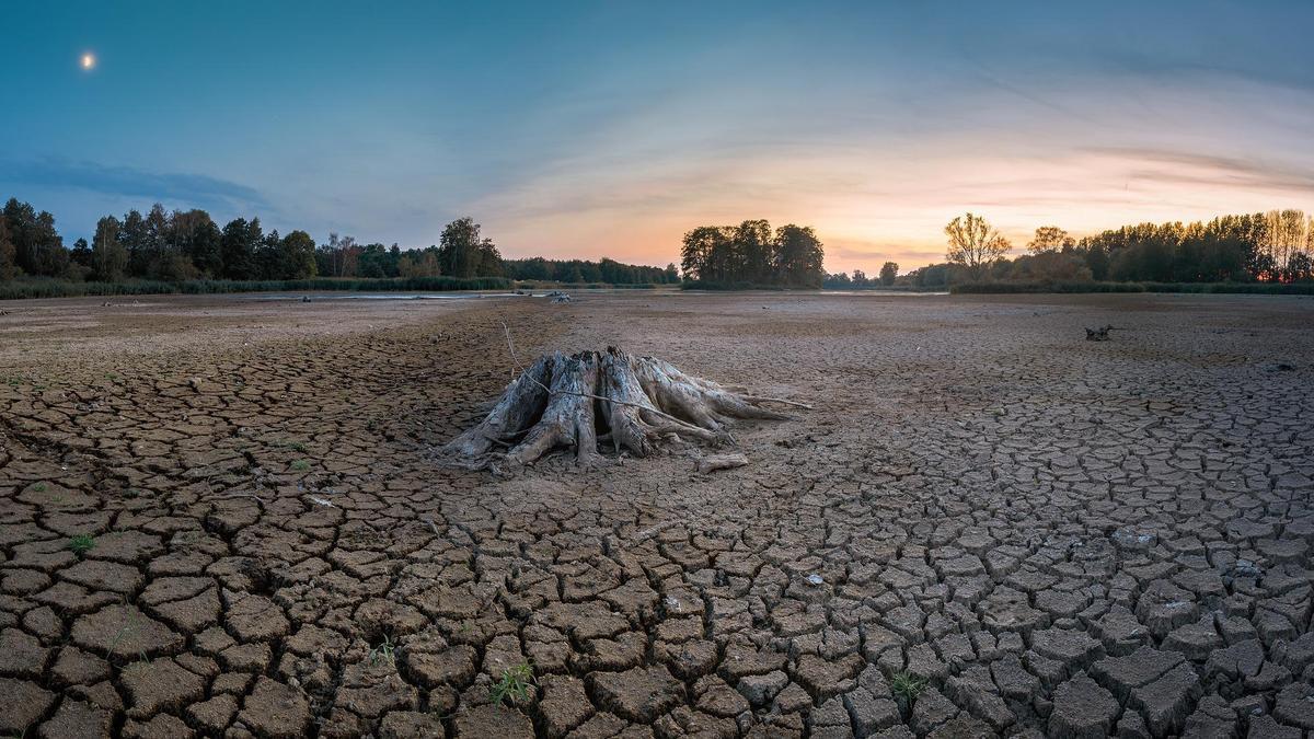 España se seca: la Península Ibérica, la región europea que sufrirá mayor  desertificación - Información