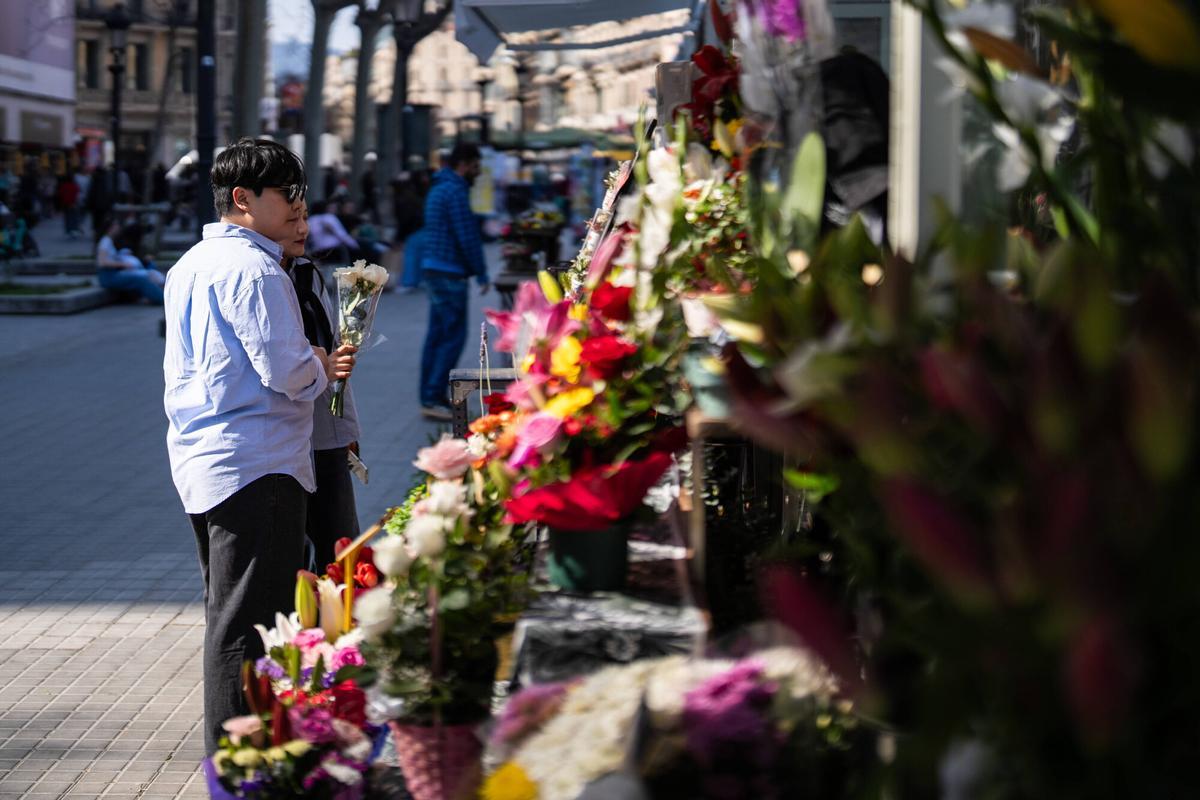 Barcelona. Sociedad. 24/03/2026 Floristerias reubicadas en plaza catalunya debido a las obras en la Rambla. FOTO de ZOWY VOETEN
