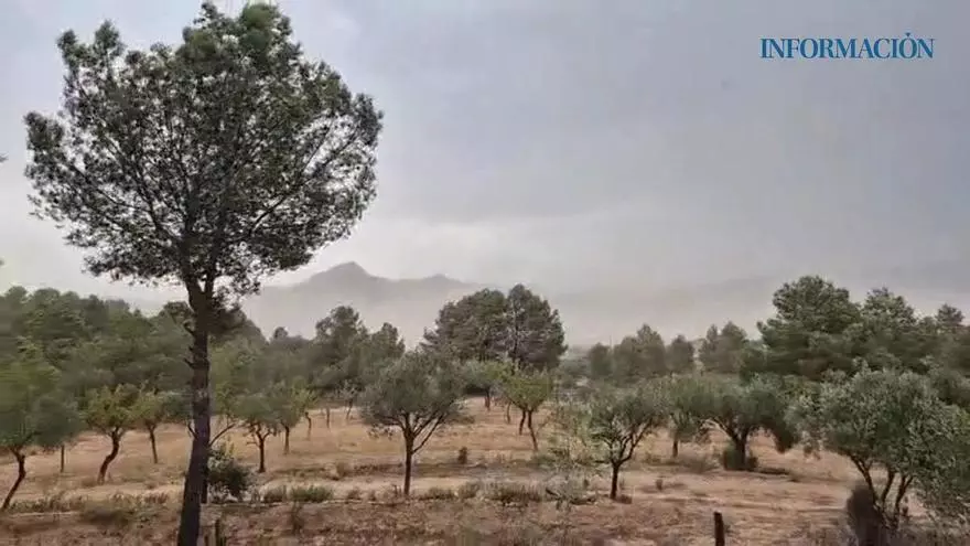 La ola de calor se desata en Alicante: reventón térmico en Elda y Petrer y tormenta en Banyeres