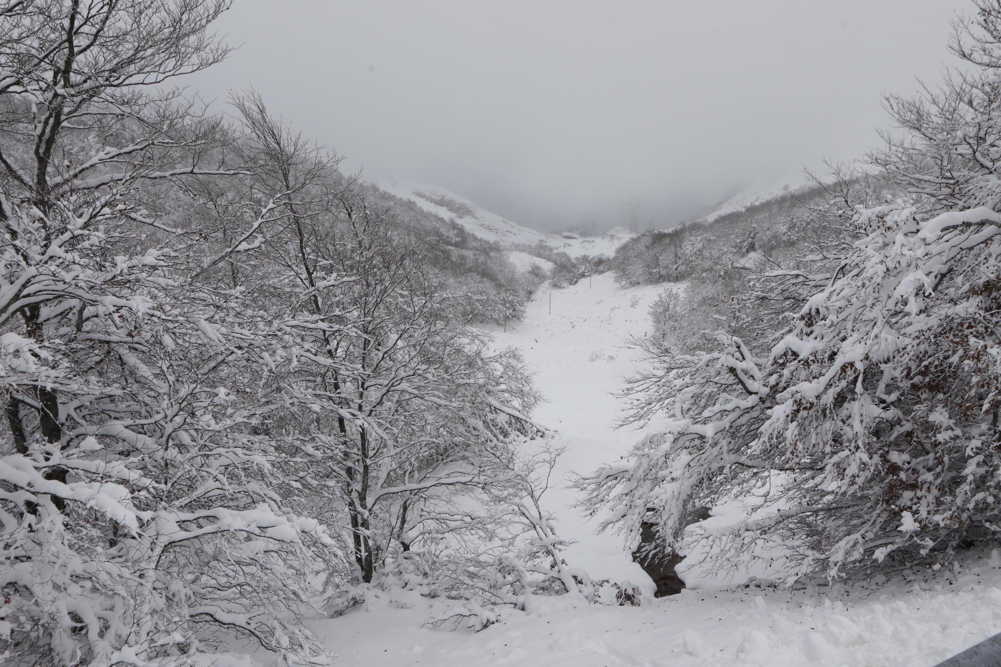 Temporal en Asturias: Así luce el pueblo de Tarna bajo un gran manto blanco