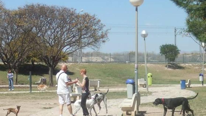 La asociación canina niega que  el parque para perros sea insalubre