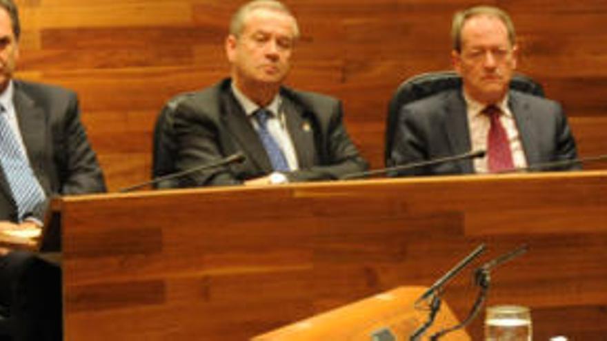El Presidente del Principado de Asturias, Vicente Álvarez Areces, durante su intervención en el Debate de Orientación Política que se inició hoy en la Junta General del Principado.