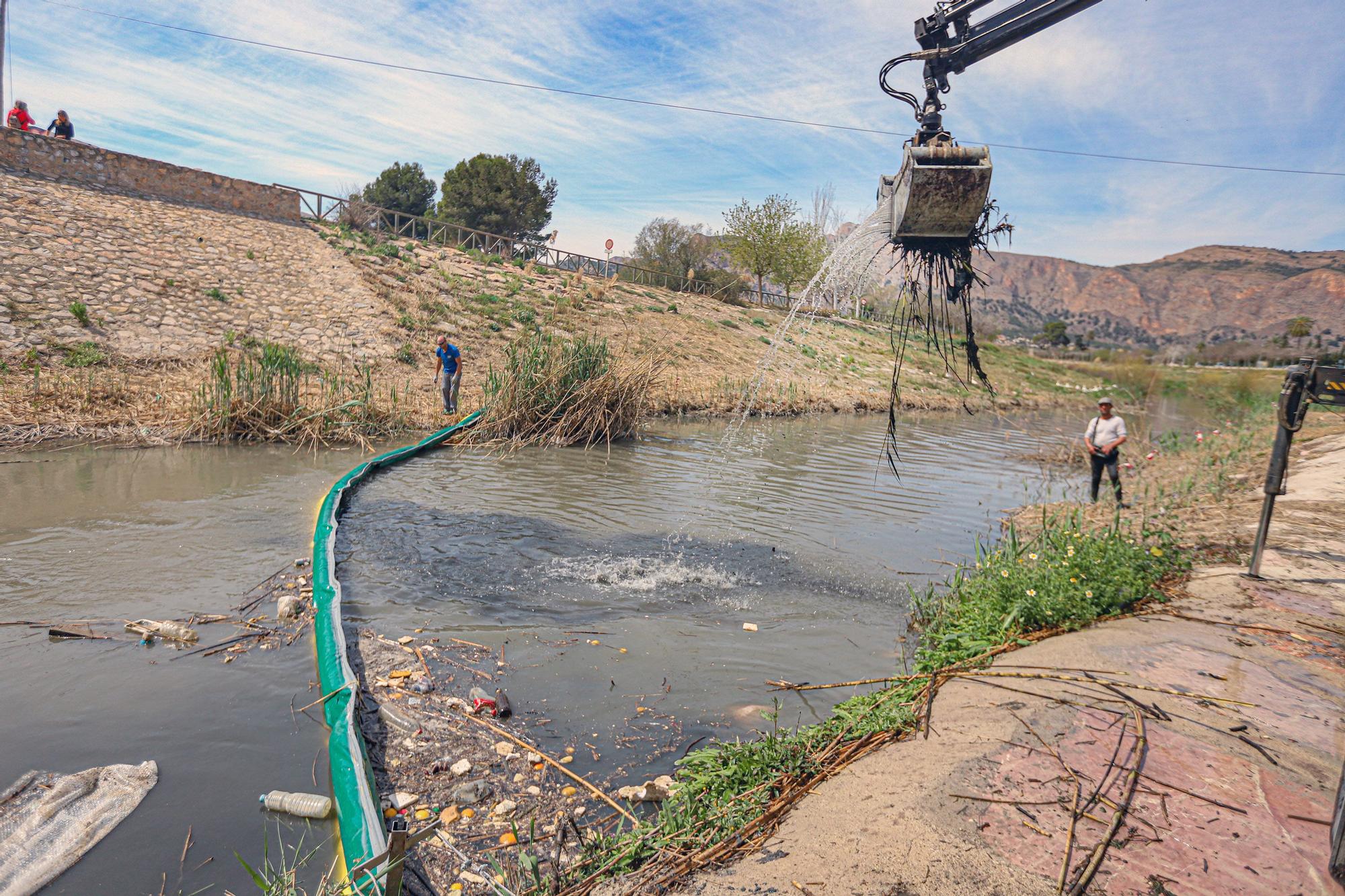 Instalación de una nueva barrera flotante en el Rio Segura