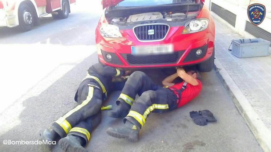 Dos bomberos trabajan en el rescate del gato atrapado en el motor del coche.