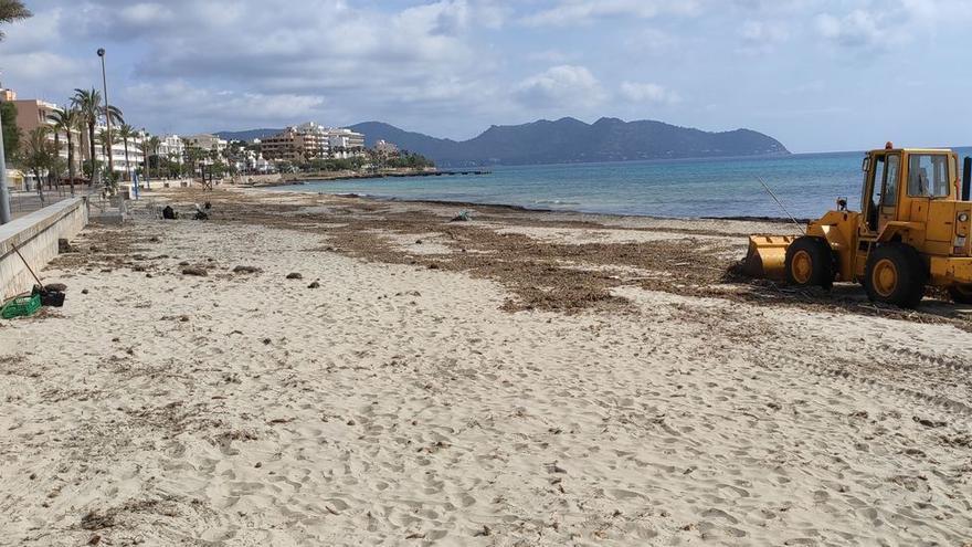 Un 20% de las playas de Mallorca retroceden medio metro cada año