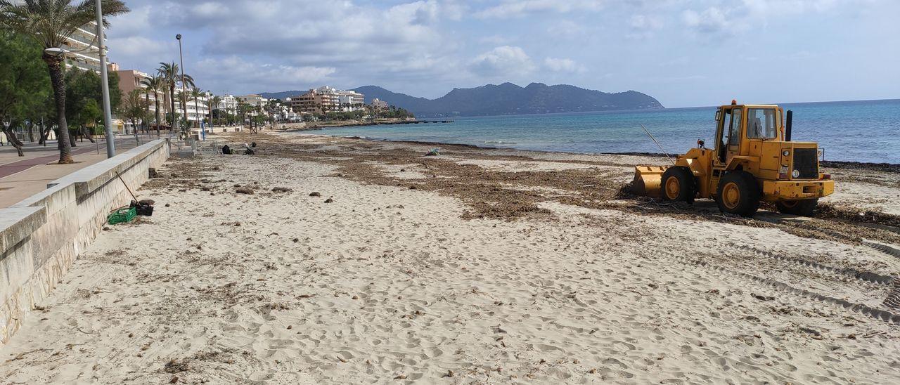 La playa de Cala Millor ha retrocedido mucho desde los años 60, según el estudio.