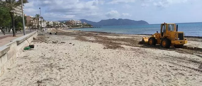 Un 20% de las playas de Mallorca retroceden medio metro cada año