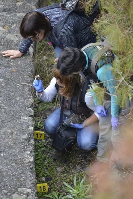Investigación sobre los huesos hallados en el Barranco Los Dolores en Firgas