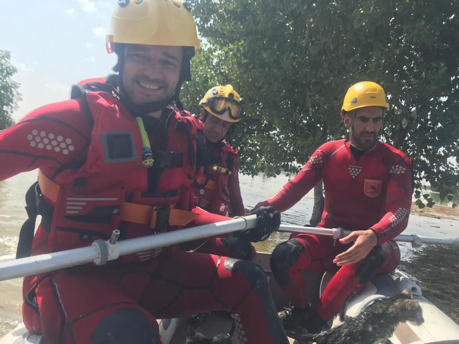 Bomberos y Protección Civil de Alicante participan en las labores de auxilio en la Vega Baja.