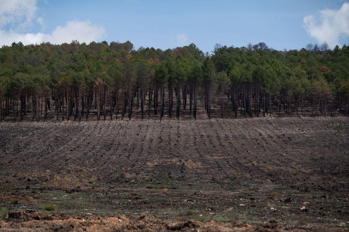 Pueblos afectados por el primer incendio de 2022 en la Sierra de la Culebra