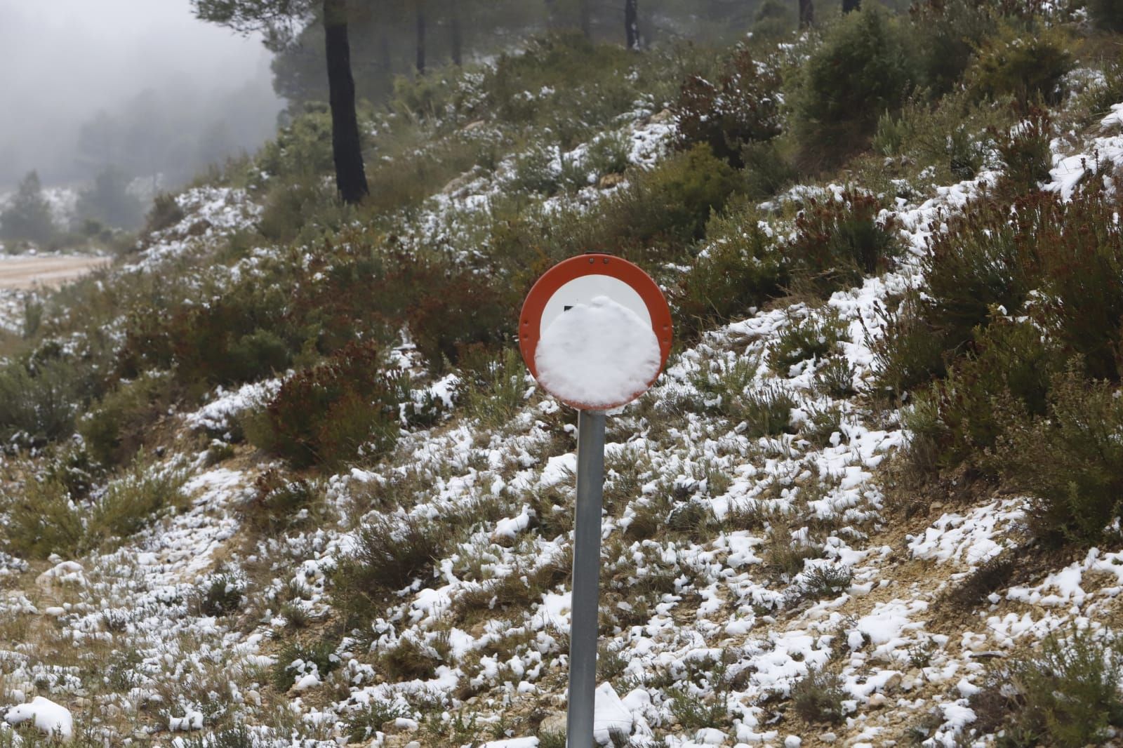 La nieve llega a Enguera