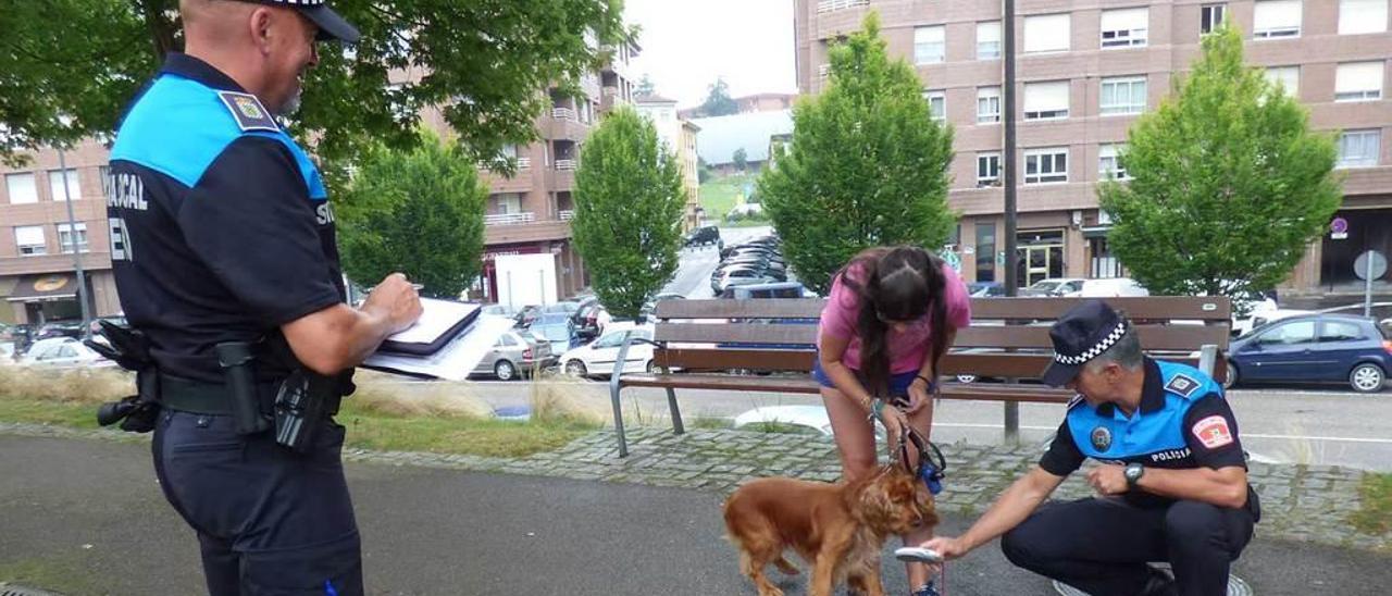 La Policía Local controla el microchip de un perro en la Pola.