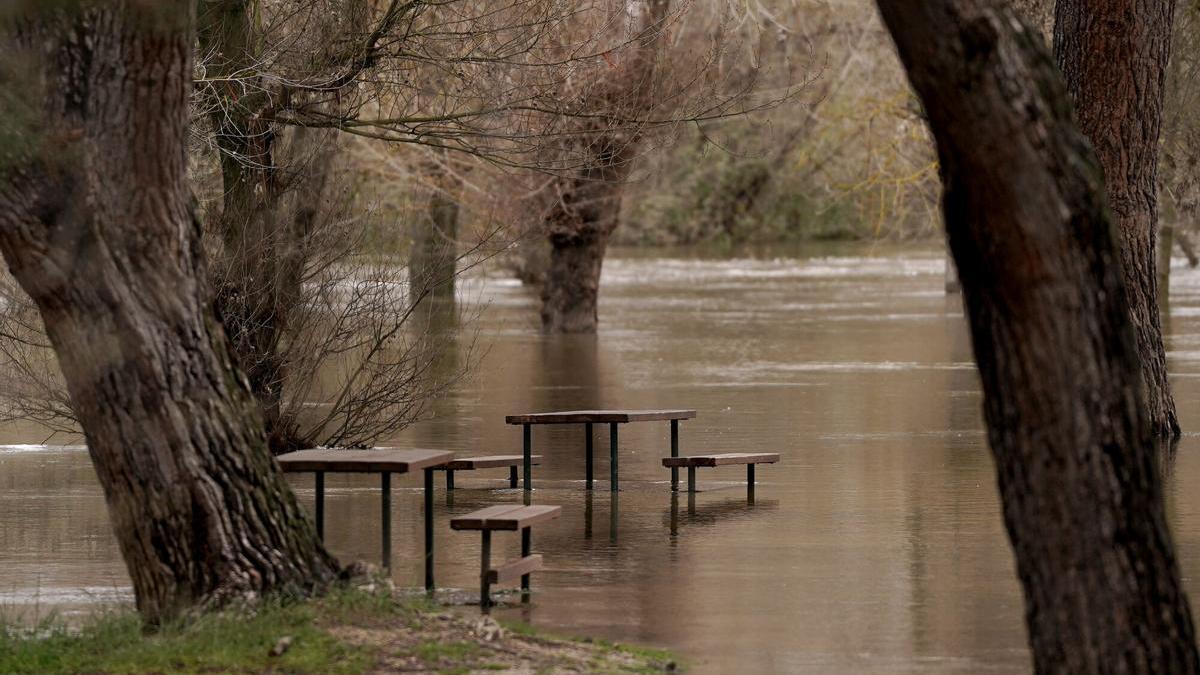 El río Manzanares, tras las lluvias de estas semanas.
