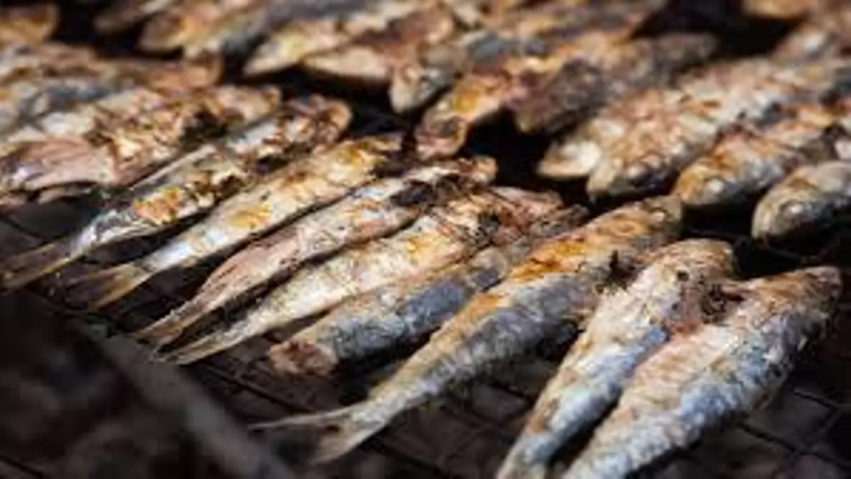 El mejor buffet libre de pescado fresco y a la brasa: come hasta que te canses por solo 15 euros