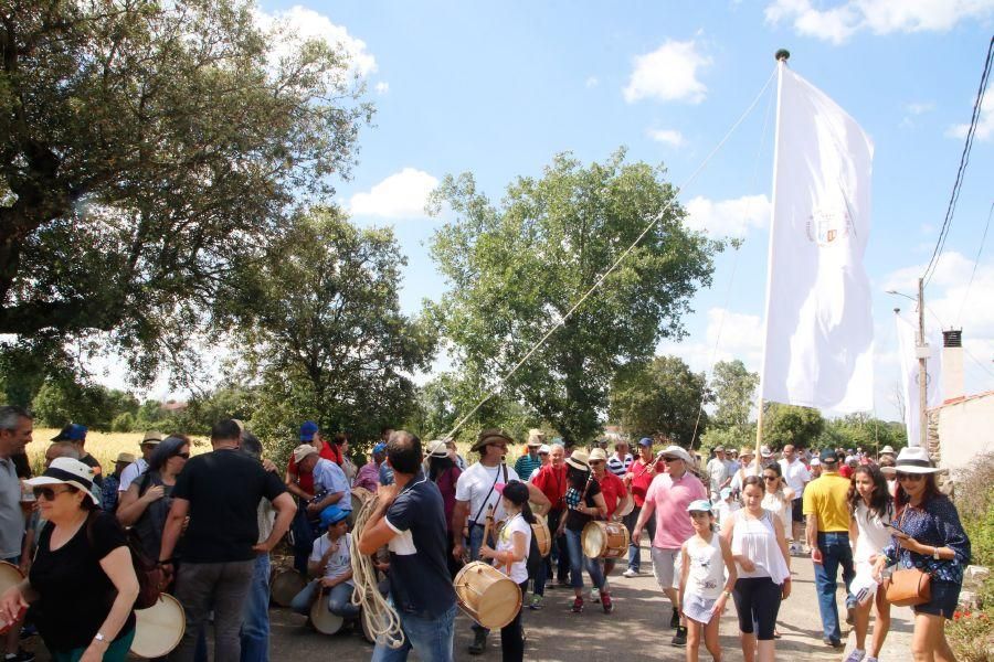 Romería de la Virgen del Castillo en Fariza