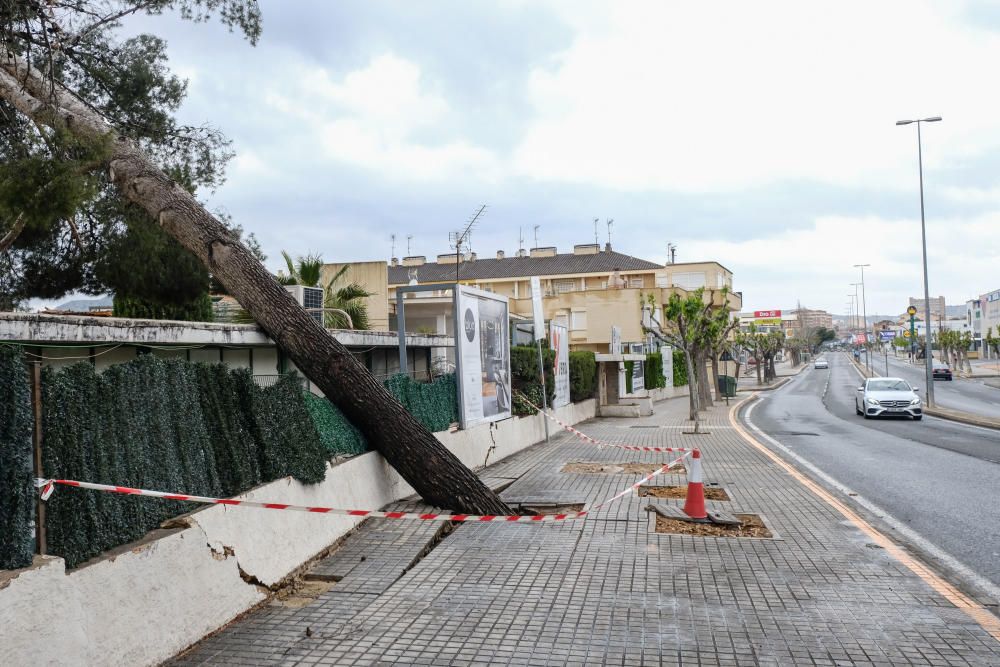 Consecuencias de la lluvia en Elda