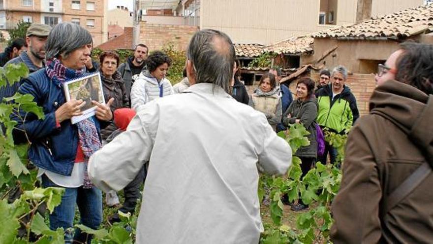 Maria Estruch explicant les fases de la producció de vi amb il·lustracions a peu de vinya