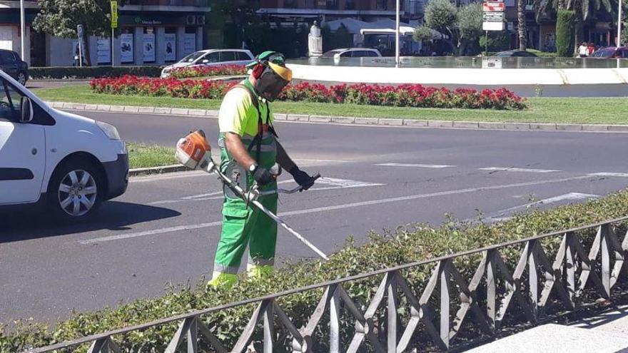 Ordenan investigar la utilización de fitosanitarios en espacios públicos de Don Benito