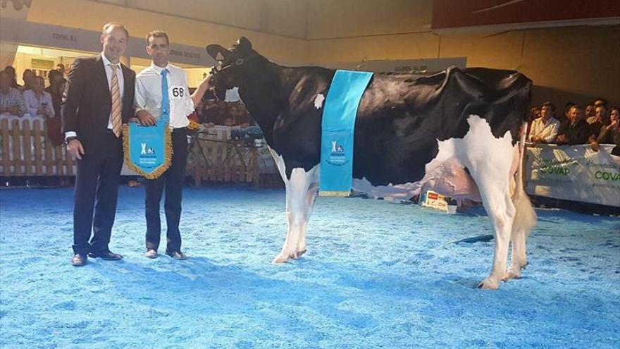 La ganadería vacuna El Cruce copa premios en el concurso de Dos Torres