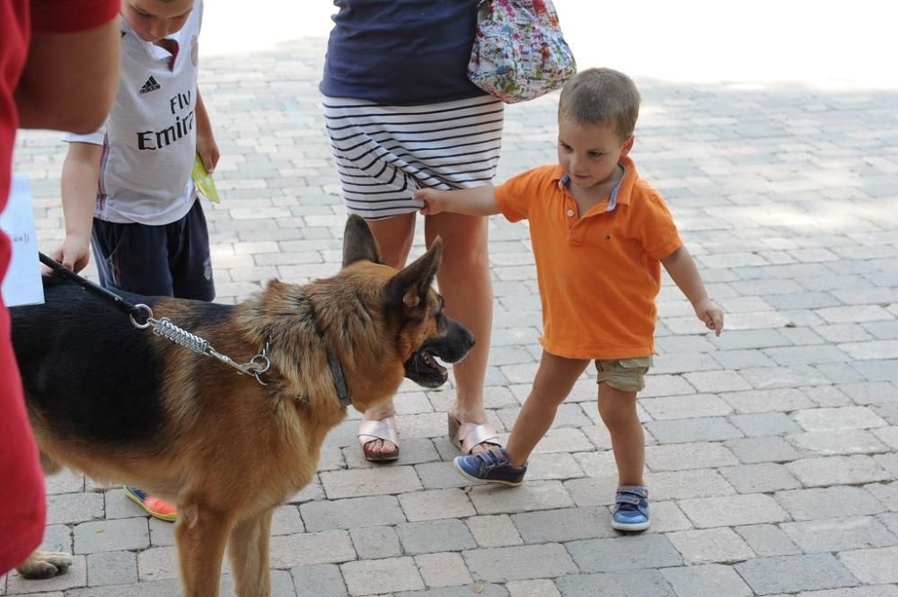 Muestra de mascotas en La Fama