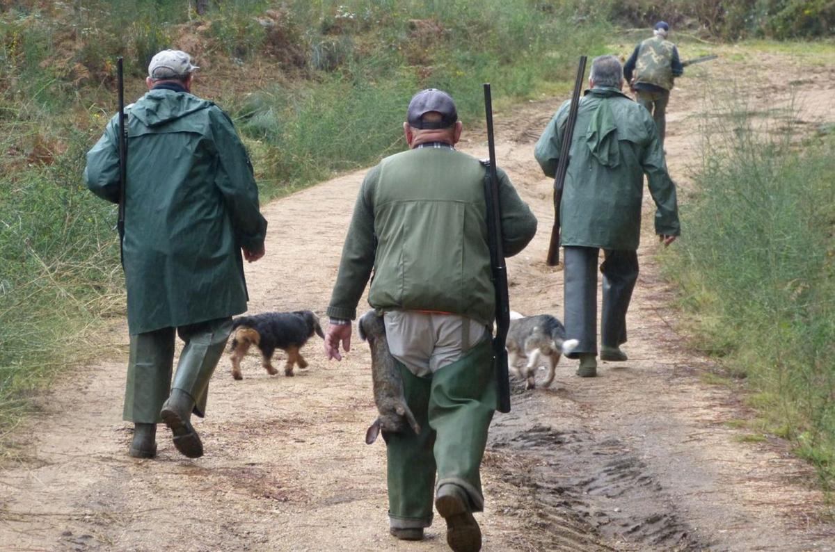 La niebla y la lluvia no ayudan a los cazadores. |   //  FDV