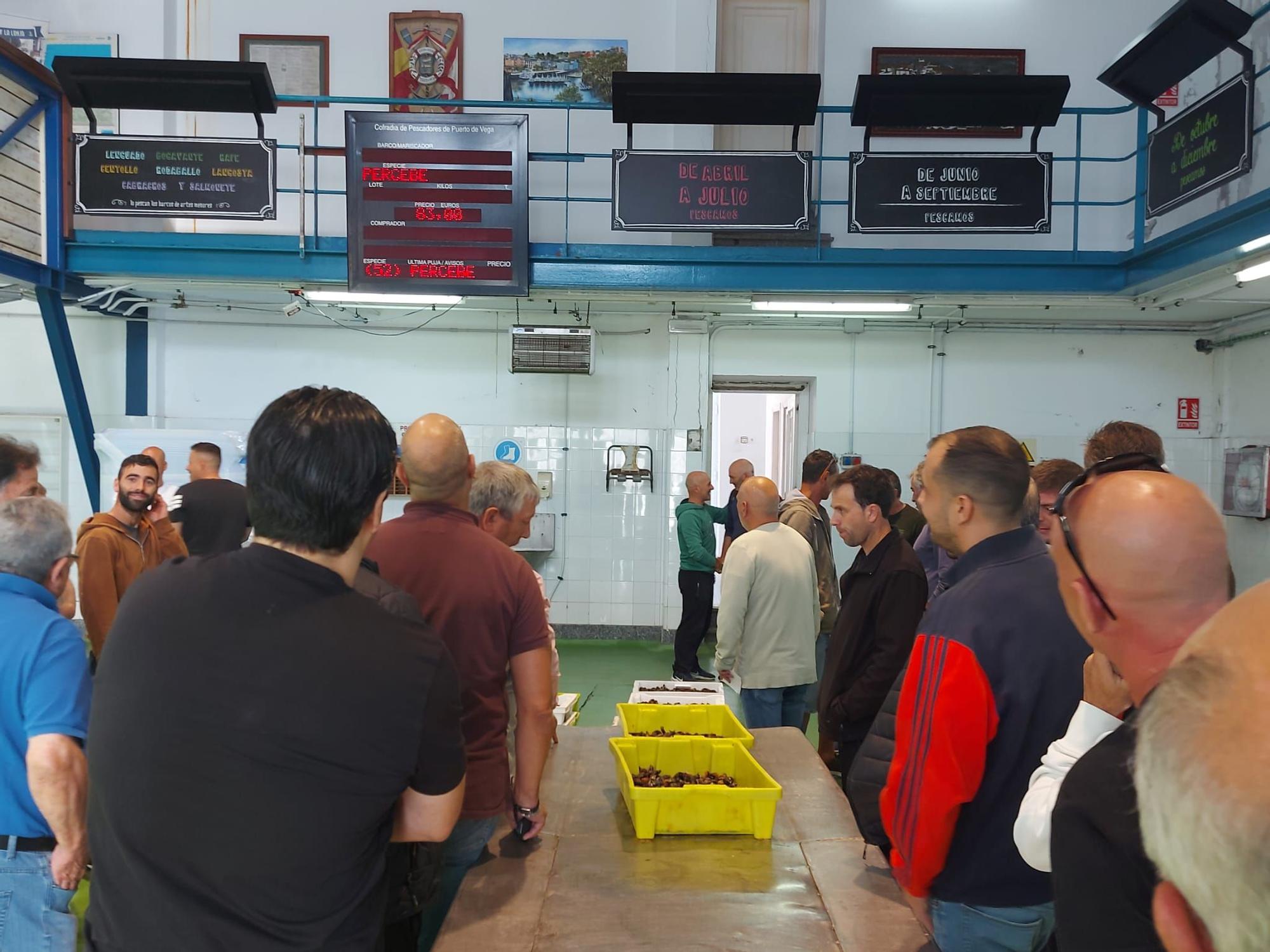 En imágenes: La primera subasta de percebe de la temporada en la rula de Puerto de Vega