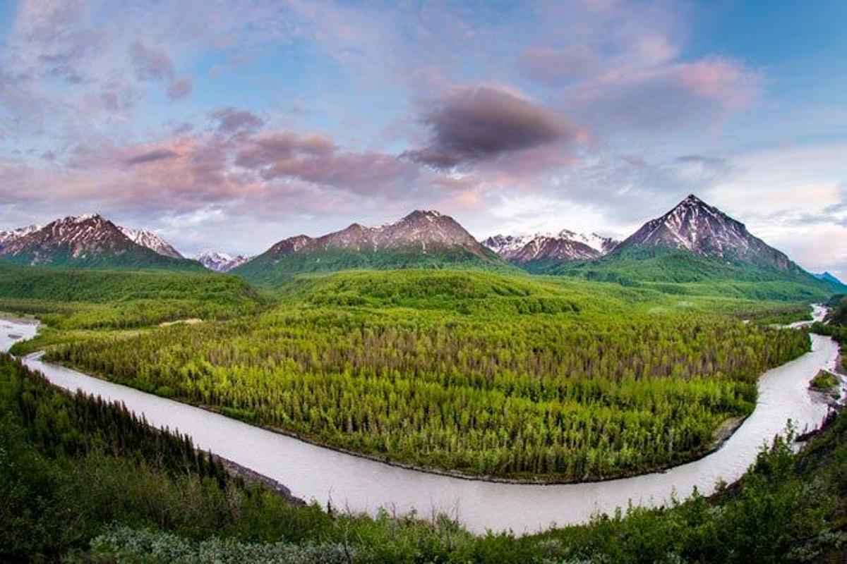 Bosque en Alaska (EE.UU.)