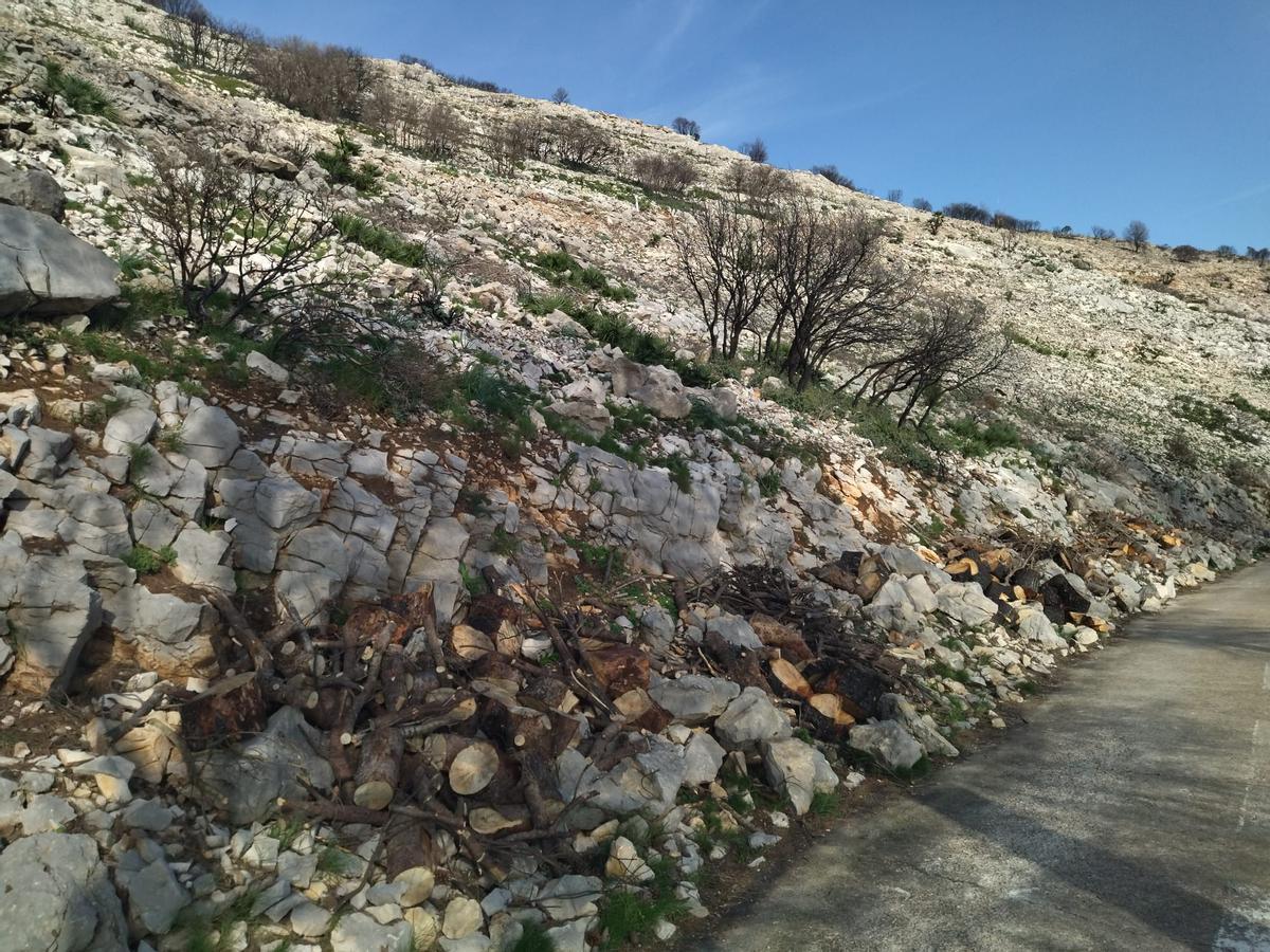 Desolación, erosión y bandadas de cuervos en las laderas del Coll de Rates arrasadas hace 8 meses por el fuego (imágenes) Desolación, erosión y bandadas de cuervos en las laderas del Coll de Rates arrasadas hace 8 meses por el fuego (imágenes)