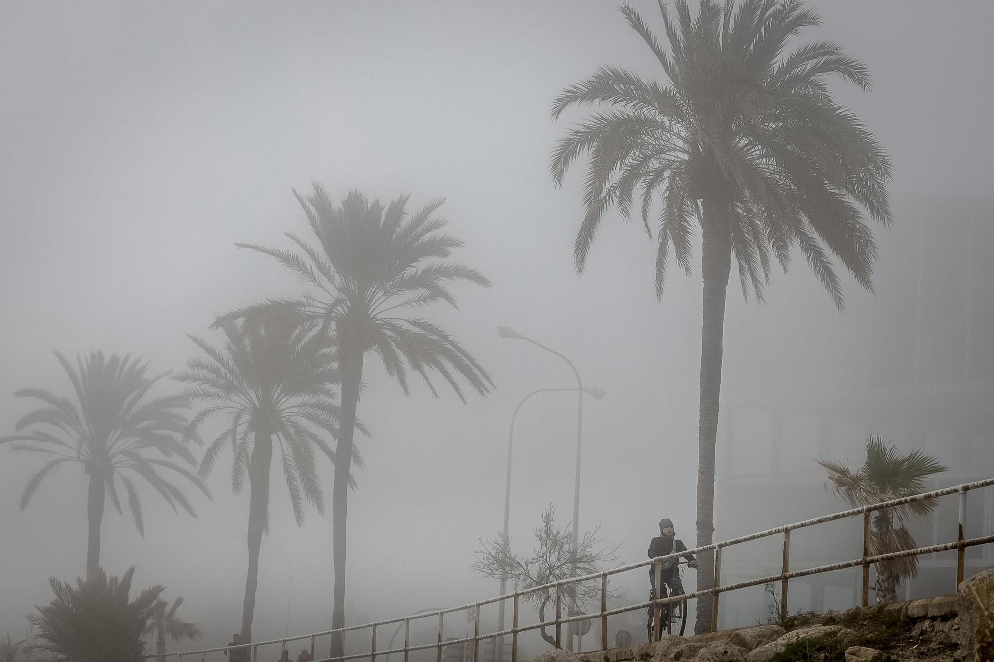 Niebla en Mallorca en pleno invierno