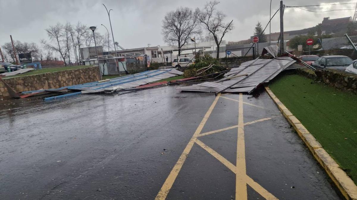 Fotogalería | Un vendaval provoca destrozos en Plasencia Fotogalería | Un vendaval provoca destrozos en Plasencia