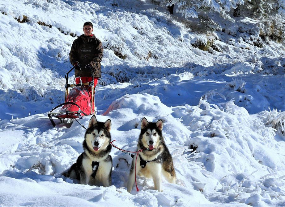 Manuel Calvo se prepara para participar en  el Campeonato de España de carreras de trineo con perros