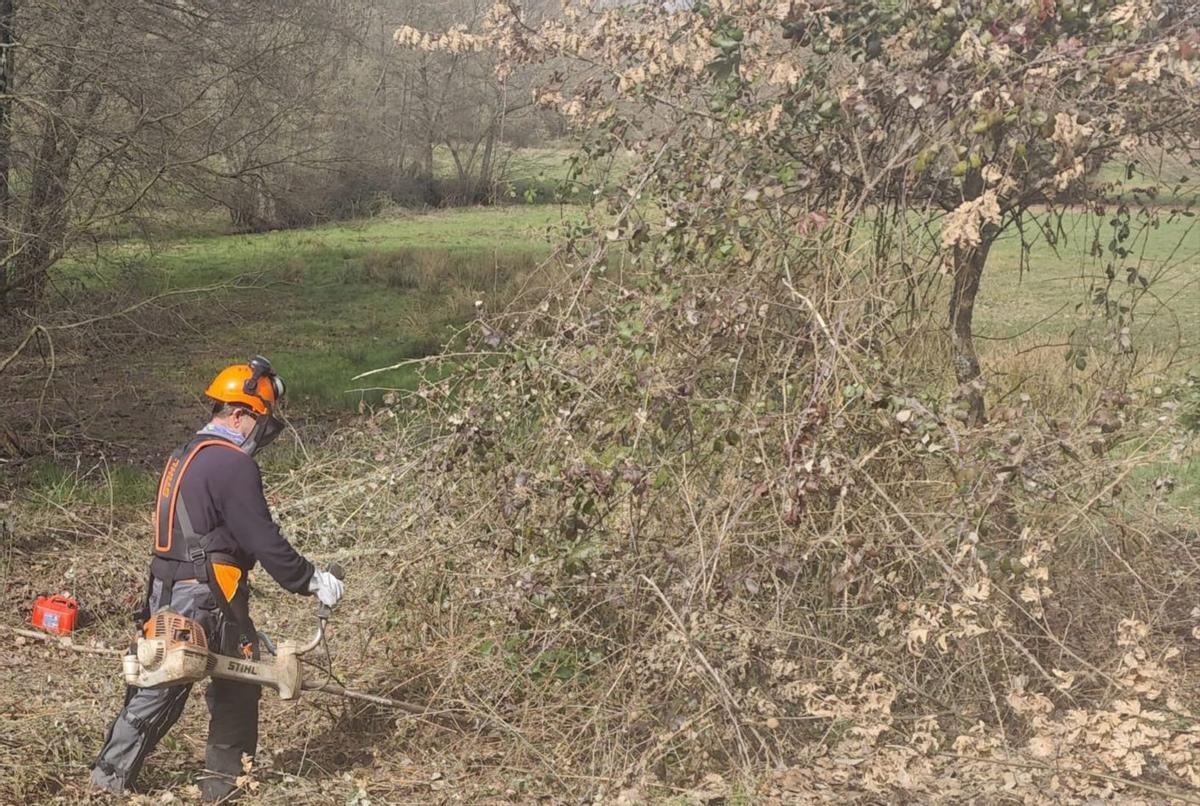 Trabajos de limpieza medioambiental.  | CH. S.