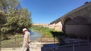 Sol y una temperatura máxima de 28º para este lunes en Córdoba