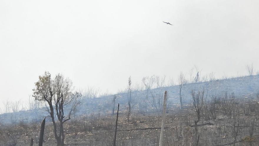 El fuego golpea primero en parques naturales y en la comarca con las máximas de Galicia