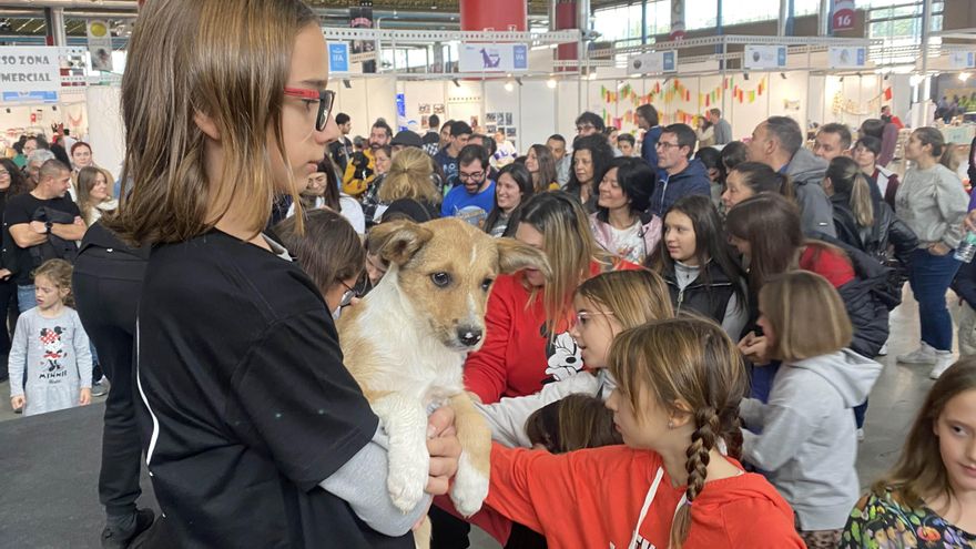 Amor por los animales en IFA