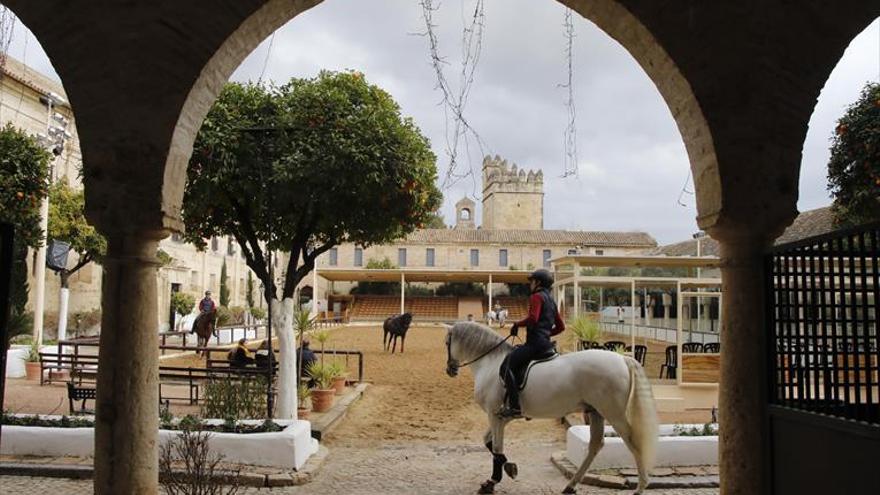 El gobierno local apura el mandato para la compra de Caballerizas