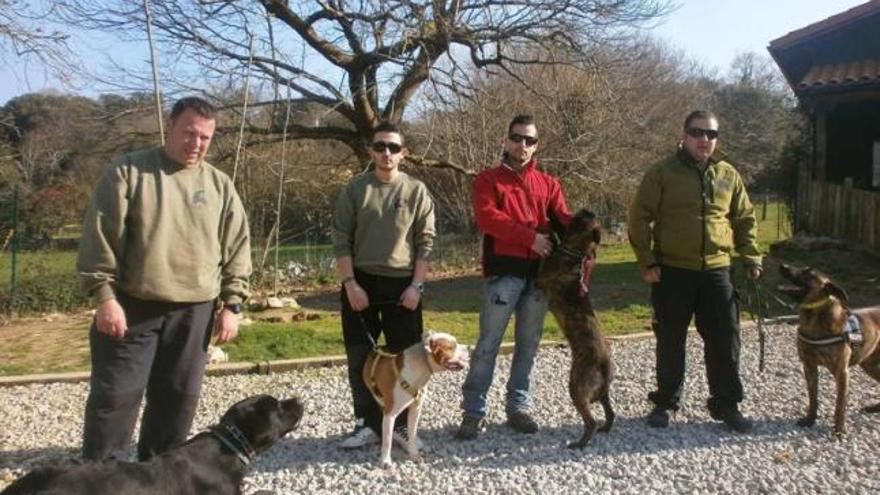 Día de perros en Llanes - La Nueva España