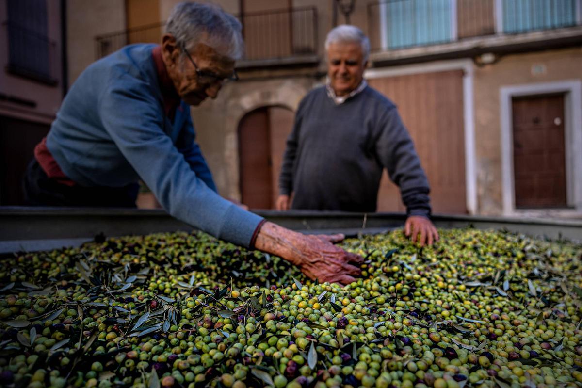 La comarca tindrà un "minitransvasament" de l’Ebre l’any que ve La comarca tindrà un "minitransvasament" de l’Ebre l’any que ve
