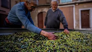 La comarca tindrà un "minitransvasament" de l’Ebre l’any que ve